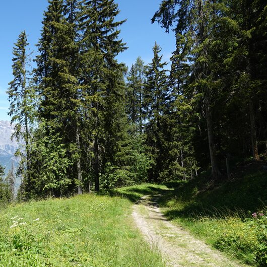 Wanderungen